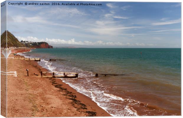 RED BEACH Canvas Print by andrew saxton