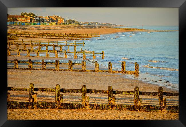 East Beach, Littlehampton Framed Print by graham young