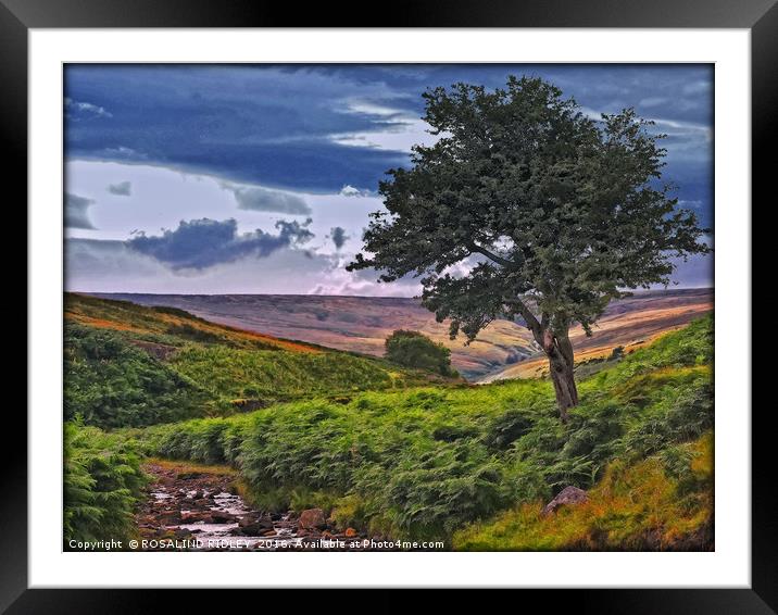 "THE COLOURS OF THE MOORS" Framed Mounted Print by ROS RIDLEY