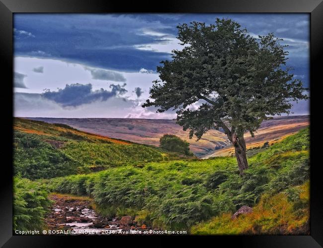 "THE COLOURS OF THE MOORS" Framed Print by ROS RIDLEY