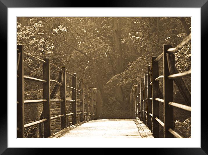 Bridge Over River Frome Framed Mounted Print by Brian Roscorla