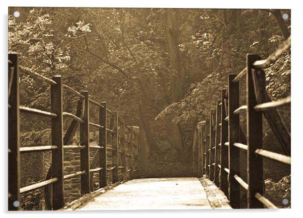 Bridge Over River Frome Acrylic by Brian Roscorla