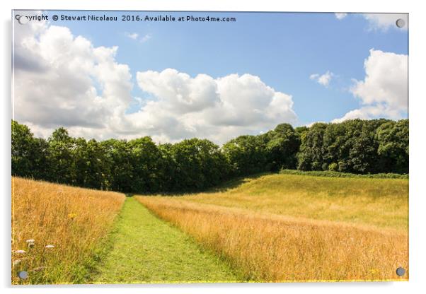 A Summers Day Amongst The Meadows  Acrylic by Stewart Nicolaou