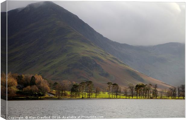 Buttermere Pines, Lake District Canvas Print by Alan Crawford