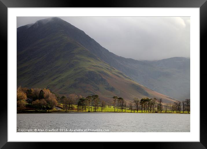 Buttermere Pines, Lake District Framed Mounted Print by Alan Crawford