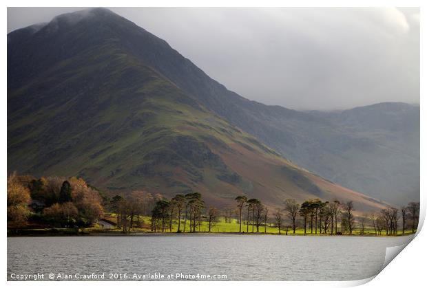 Buttermere Pines, Lake District Print by Alan Crawford