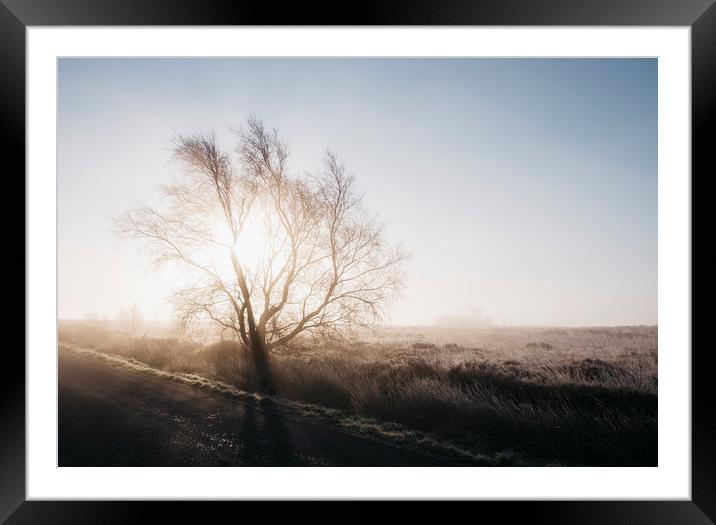 Sunrise behind a frozen tree on Beeley Moor. Derby Framed Mounted Print by Liam Grant
