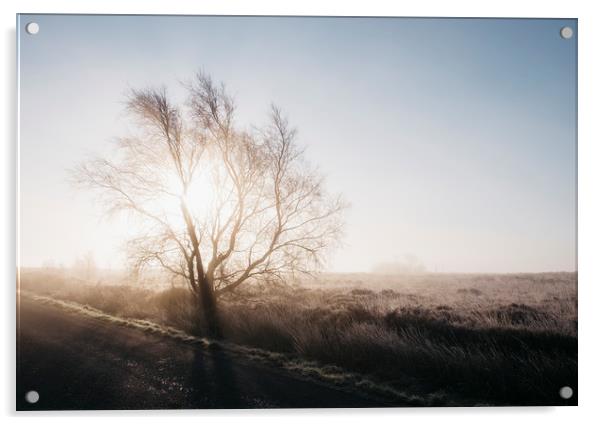 Sunrise behind a frozen tree on Beeley Moor. Derby Acrylic by Liam Grant