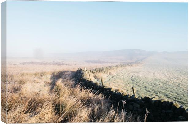 Curved wall in the frost and fog on Beeley Moor at Canvas Print by Liam Grant