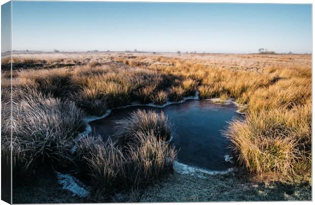 Frozen water and reeds lit by the sunrise. Beeley  Canvas Print by Liam Grant
