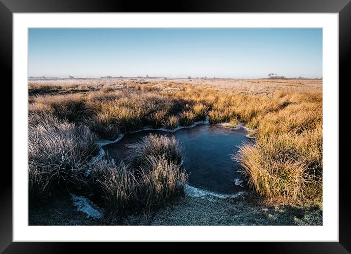 Frozen water and reeds lit by the sunrise. Beeley  Framed Mounted Print by Liam Grant