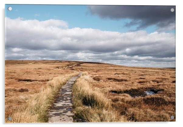 Footpath through moorland on Bleaklow, Derbyshire, Acrylic by Liam Grant