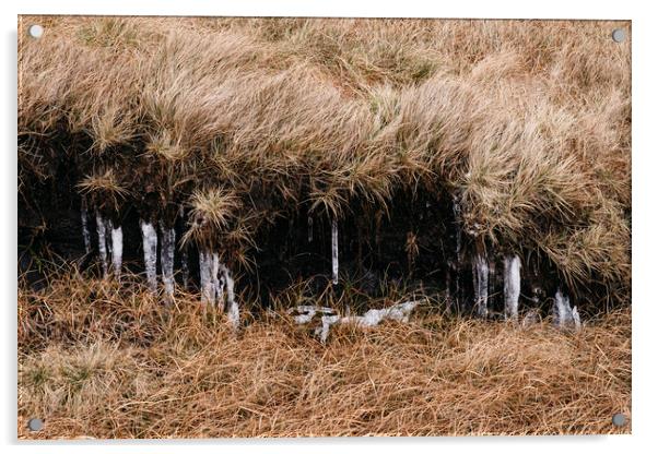 Frozen icicles among the peat and moorland grass.  Acrylic by Liam Grant