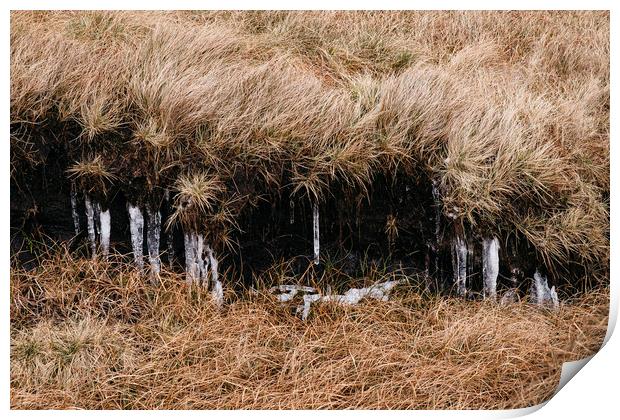 Frozen icicles among the peat and moorland grass.  Print by Liam Grant