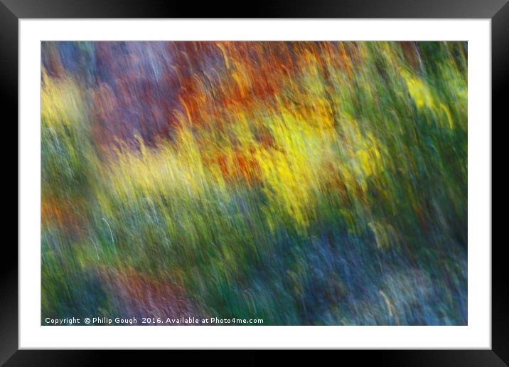 Natures Flames Framed Mounted Print by Philip Gough