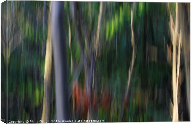 Forest Moves Canvas Print by Philip Gough