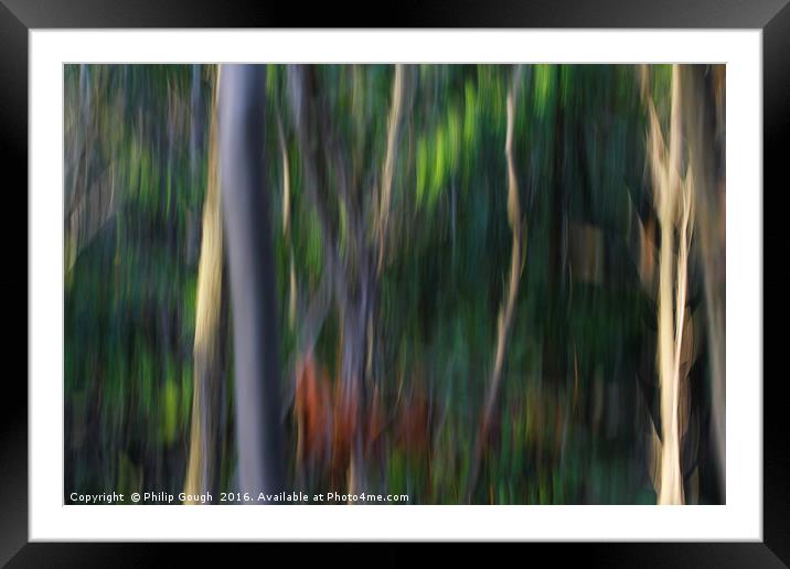 Forest Moves Framed Mounted Print by Philip Gough
