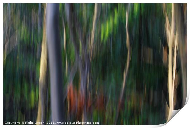 Forest Moves Print by Philip Gough