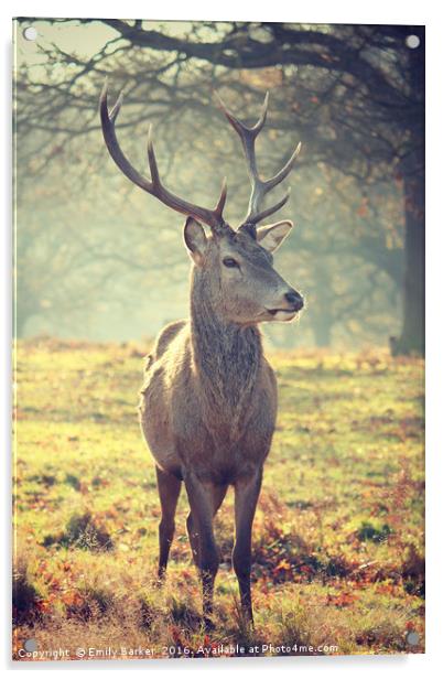 Richmond Park Deer  Acrylic by Emily Barker