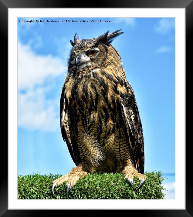 European Eagle Owl Framed Mounted Print by Jeff Hardwick