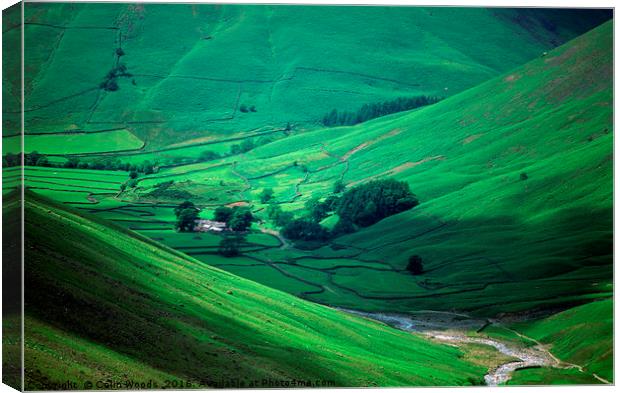 Green Valley, Lake District Canvas Print by Colin Woods