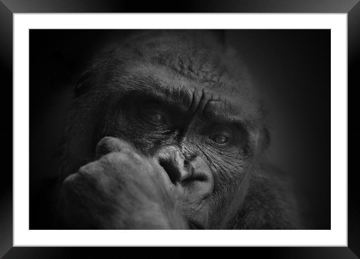 The thinker Framed Mounted Print by Paul Fine