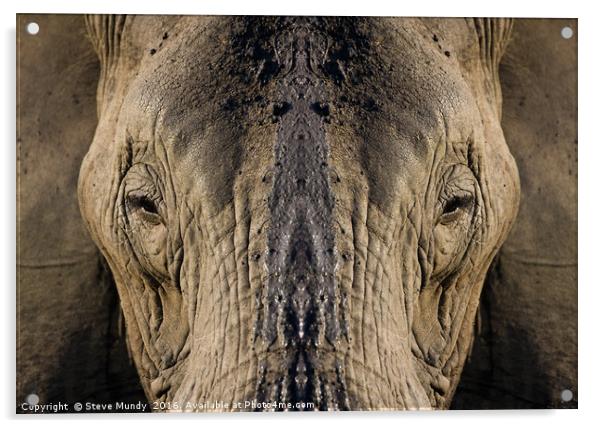 Elephant Portrait Acrylic by Steve Mundy