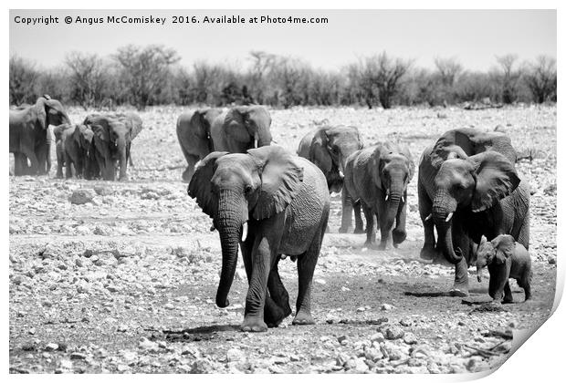 African elephants with young approaching waterhole Print by Angus McComiskey