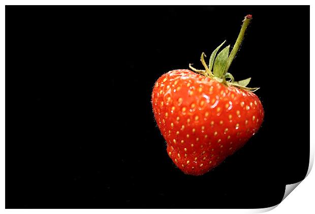 Strawberry Print by Gavin Liddle