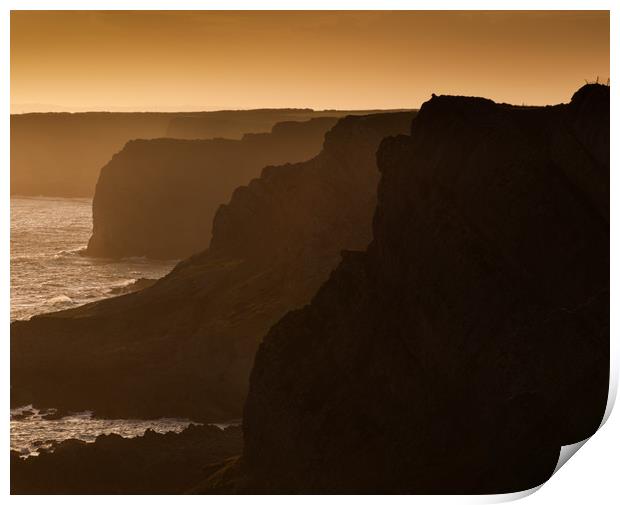 Gower cliffs Print by Leighton Collins