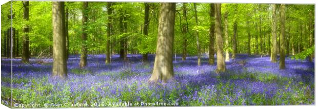 English Bluebell Wood Canvas Print by Alan Crawford