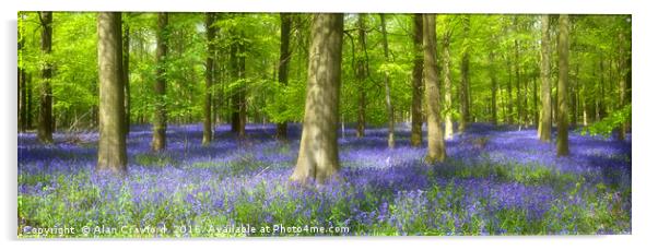 English Bluebell Wood Acrylic by Alan Crawford