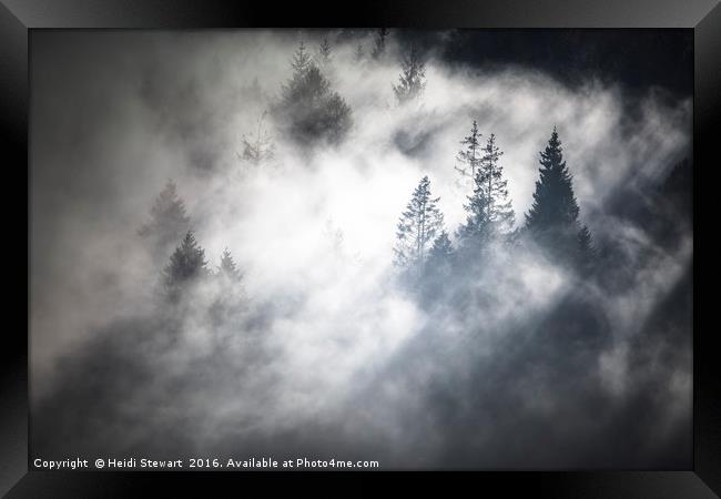 Trees in the Mist Framed Print by Heidi Stewart