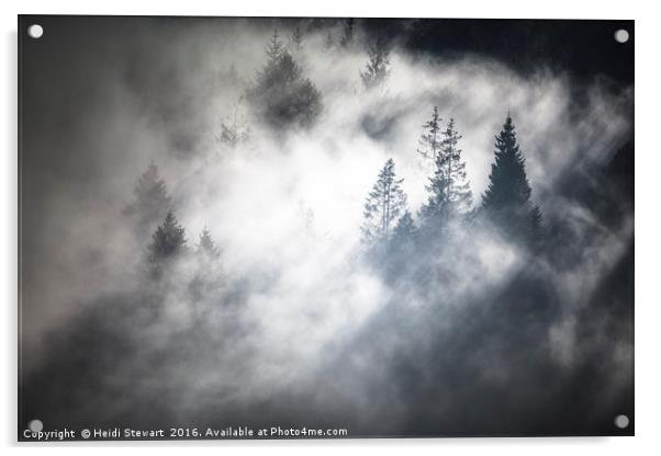 Trees in the Mist Acrylic by Heidi Stewart