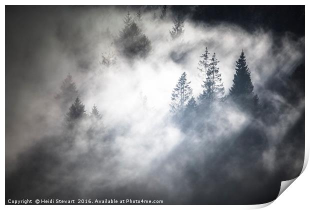 Trees in the Mist Print by Heidi Stewart