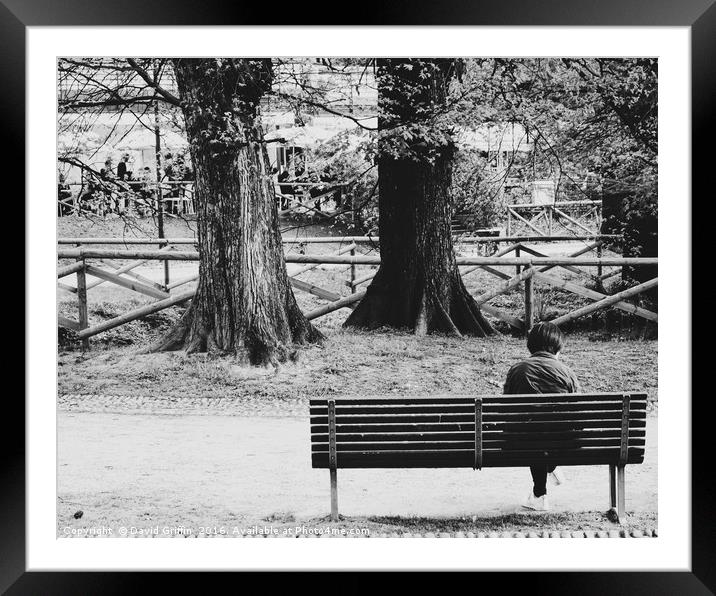 Lonely Seating Framed Mounted Print by David Griffin