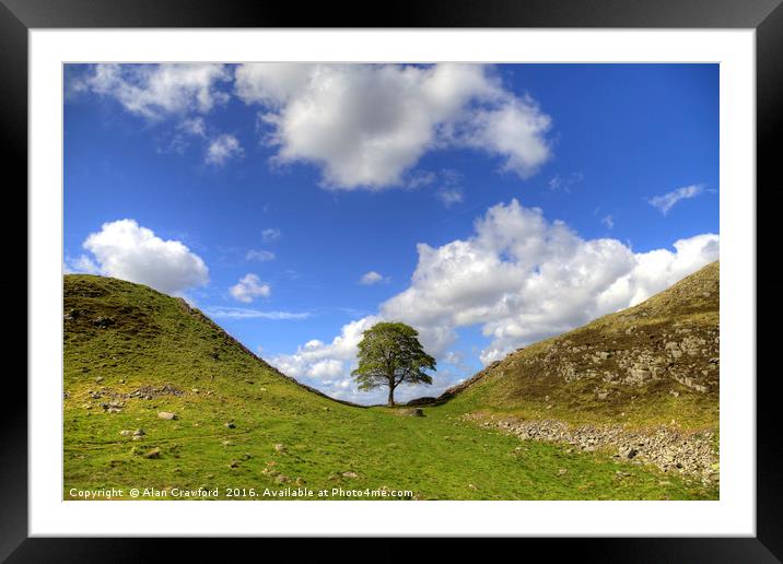 Sycamore Gap on Hadrian's Wall Framed Mounted Print by Alan Crawford