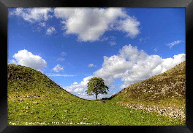 Sycamore Gap on Hadrian's Wall Framed Print by Alan Crawford