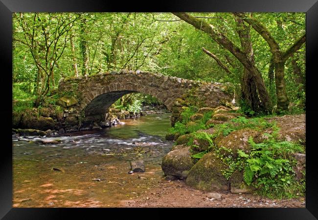 Hisley Packhorse Bridge Dartmoor National Park Framed Print by Nick Jenkins