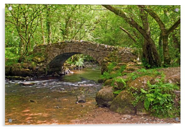 Hisley Packhorse Bridge Dartmoor National Park Acrylic by Nick Jenkins