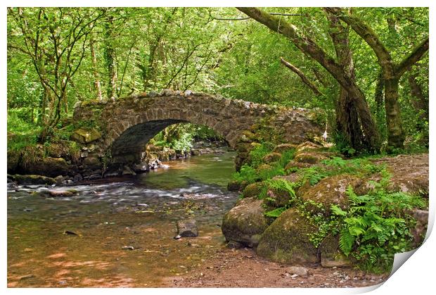 Hisley Packhorse Bridge Dartmoor National Park Print by Nick Jenkins