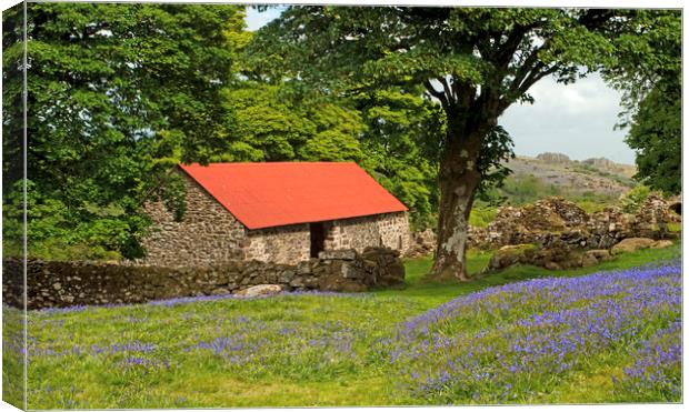 The Emsworthy Bluebells and Barn Dartmoor Canvas Print by Nick Jenkins