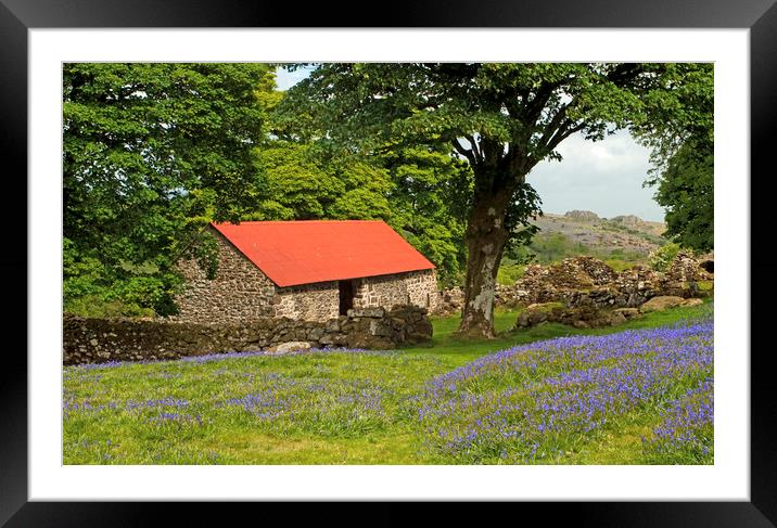 The Emsworthy Bluebells and Barn Dartmoor Framed Mounted Print by Nick Jenkins