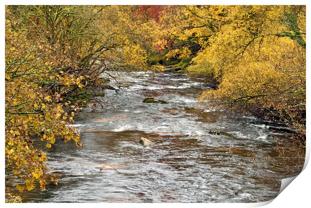 West Dart River Dartmoor National Park Devon Print by Nick Jenkins