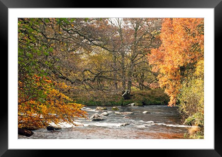 Where The East and West Dart Rivers Meet on Dartmo Framed Mounted Print by Nick Jenkins