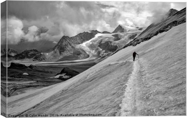 Climber in the Swiss Alps Canvas Print by Colin Woods
