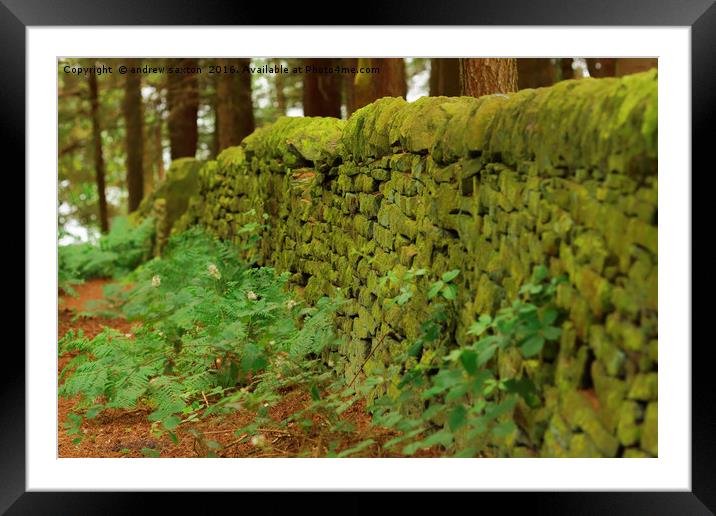 GREEN WALL Framed Mounted Print by andrew saxton