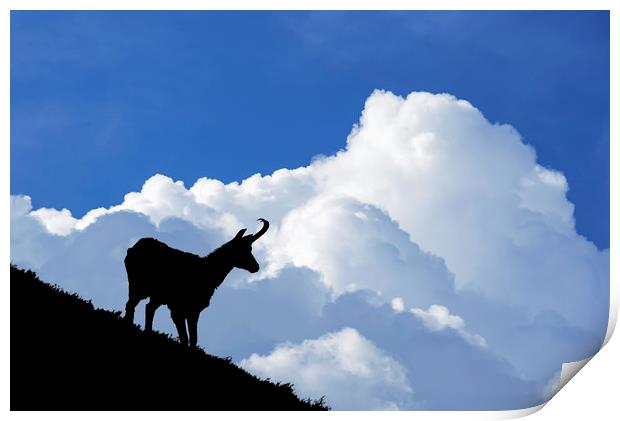 Chamois and Thunderstorm Clouds Print by Arterra 