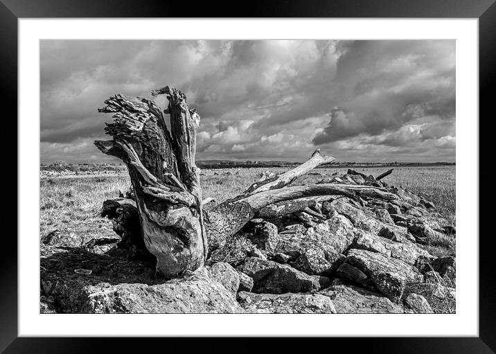 The Driftwood Dragon on the Gwent Levels Newport Framed Mounted Print by Nick Jenkins