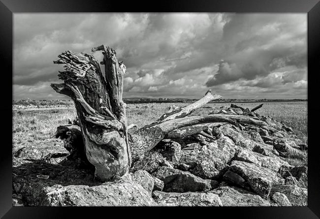 The Driftwood Dragon on the Gwent Levels Newport Framed Print by Nick Jenkins